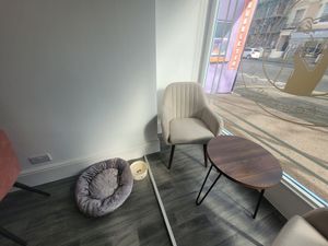 Pip & Oat Inside (Dog Bowl & Bed) at Pip & Oat in Llandudno