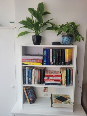 Pip & Oat Inside at Pip & Oat in Llandudno