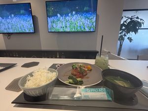Plant based veggie plate  at Andelt Cafe in Tokyo
