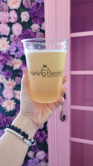 Kombutcha at Raining Berries in St Petersburg