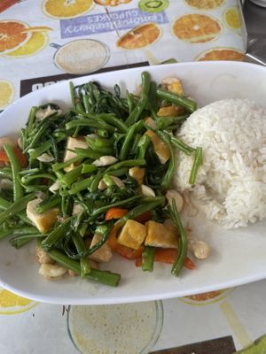 Morning Glory, Cashews and Tofu with Rice  at Number 9 Restaurant in Chiang Mai