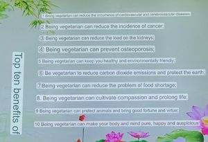 Reason for veganism  at Hongshan Health Preservation Vegetarian - Lianbang Wanjiang in Dongguan