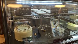   at V Sorte Hest in Copenhagen