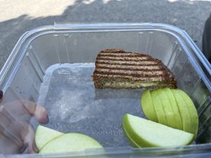 Teddy Bear Cholla - kids menu. Half of sandwich- other half is already eaten   at The Iron Cactus in Kingston