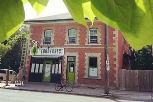 Store front at The Food Forest in Peterborough
