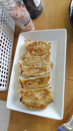 Gyozas is a must at Kasu Udon Ebisuya 2 Go-Shop in Osaka