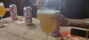 Tienen deliciosas IPAs at Shlen - Salamanca in Madrid