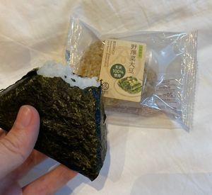Plum onigiri and brown rice greens and soybean onigiri  at Hana-Musubi 華御結 - Mira Place 1 Shop in Kowloon