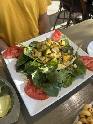   at Sal's Ballyhoo's in Key Largo