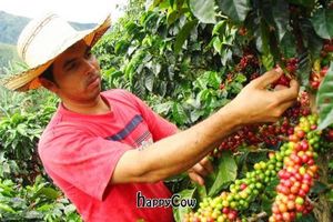 Our coffee coming from the organic farm at Madal Cafe in Budapest