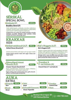  at Loving Vegan  in Hafnarfjordur