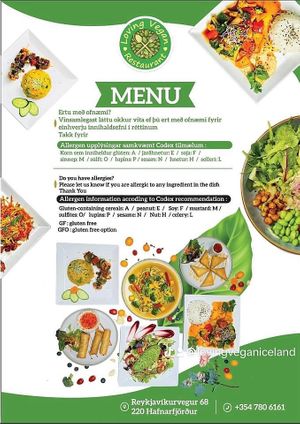   at Loving Vegan  in Hafnarfjordur