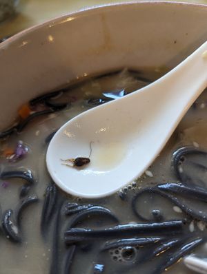 Ramen comes with mini cockroach at SUPE Vegan - George Town in Penang