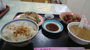 all for less than 900 yen! at Senjo Handmade Gyoza Shop in Tokyo