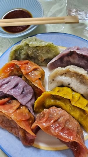  at Senjo Handmade Gyoza Shop in Tokyo