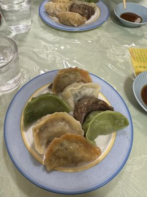   at Senjo Handmade Gyoza Shop in Tokyo