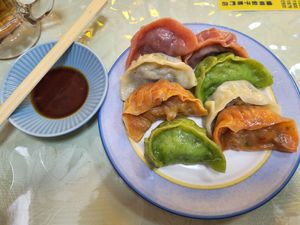 Vegan dumplings at Senjo Handmade Gyoza Shop in Tokyo