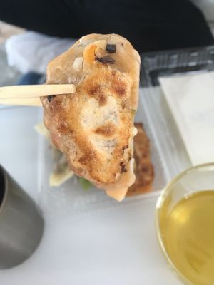 Gyoza  at Senjo Handmade Gyoza Shop in Tokyo