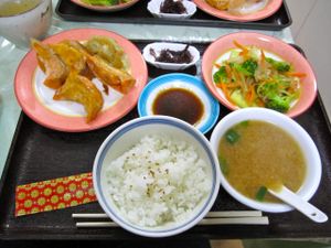 Vegan set lunch at Senjo Handmade Gyoza Shop in Tokyo