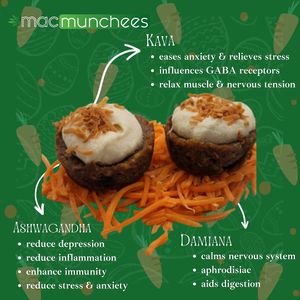  at Sincerely, Me - Kava Lounge in Fort Myers