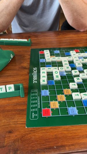 Have games available to play   at Greenr in Panaji