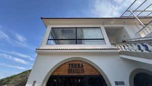  #Veganuary at Terra Brasilis in Rio De Janeiro