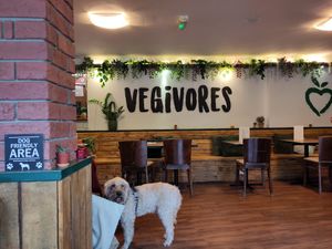 Ticking all the boxes at Vegivores  in Bournemouth