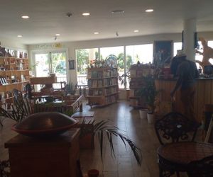 Inside the venue at Akasha Metaphysical & Vegan Cafe in St Georges