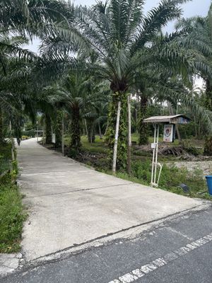   at Lazy House Khanom in Khanom