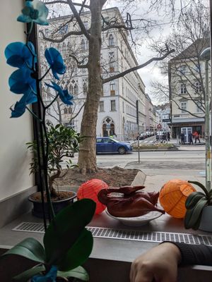 Big windows keep the place bright at Duck King in Vienna