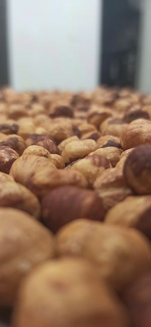 Local hazelnuts, cooked and milled in the shop at LOLLA Gelato in Viterbo