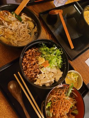 Daizu mito no Sanshoku-don at Kyoto Soba-Morihei in Kyoto