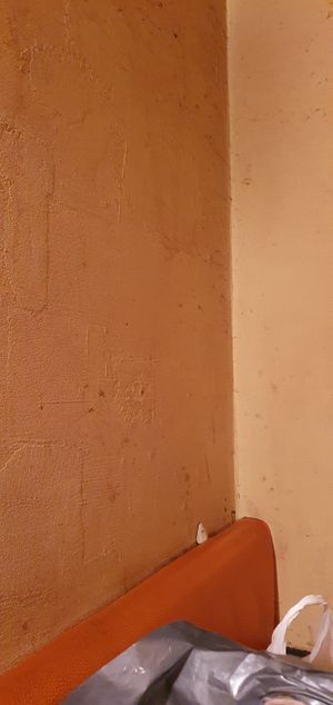 Spots and dust in the walls all over at Panas Asakusa in Tokyo