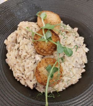 Black Truffle Wild Mushroom and Vegan Scallop with Orzotto 黑松露野菌素帶子米型意粉 (Contains egg/milk) at Café Influffy - 毛所樹樹 in Kowloon