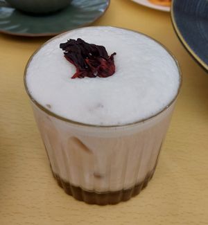 Cloudy at Café Influffy - 毛所樹樹 in Kowloon