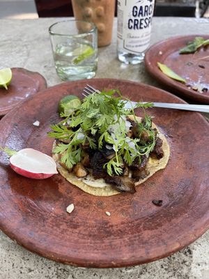 Ternilla con queso taco   at Los Loosers in Mexico City