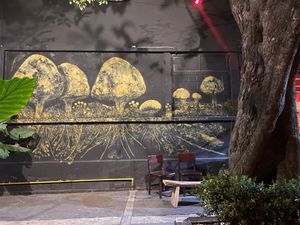  at Los Loosers in Mexico City