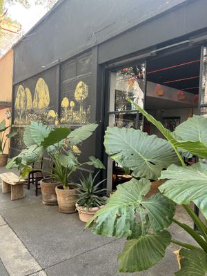   at Los Loosers in Mexico City