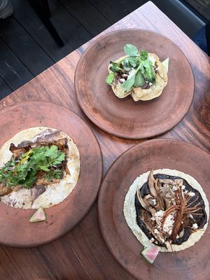   at Los Loosers in Mexico City