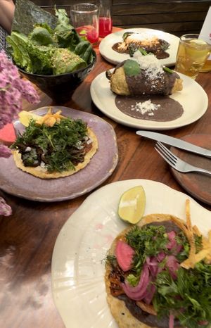 Taco time! Green salad, mushroom code and shrub Sosa  at Los Loosers in Mexico City
