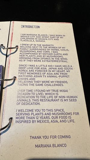 Inspirational origin story  at Los Loosers in Mexico City