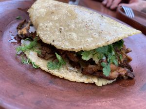   at Los Loosers in Mexico City