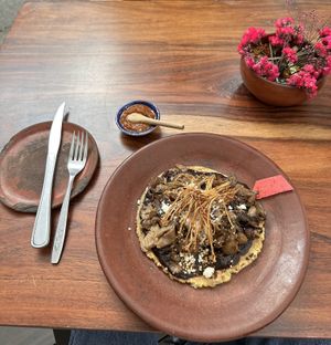   at Los Loosers in Mexico City