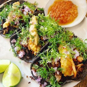   at Los Loosers in Mexico City