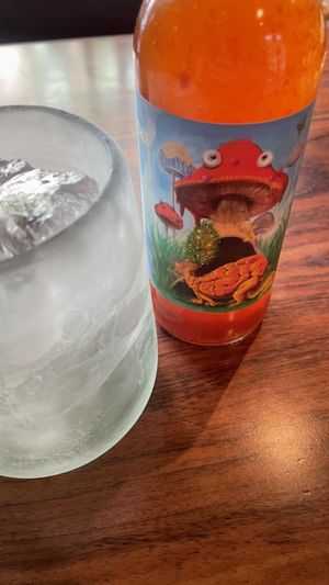  #Veganuary at Los Loosers in Mexico City