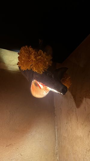 Even the bathroom lights are unique   at Los Loosers in Mexico City