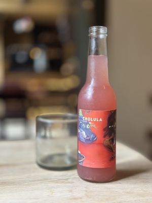 Farm to table and botanical ferments - this food and drinks are medicine for the soul   at Los Loosers in Mexico City