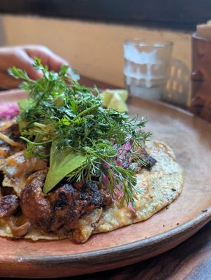  at Los Loosers in Mexico City
