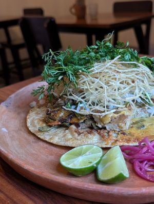  at Los Loosers in Mexico City