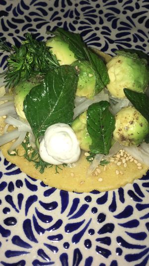 Avocado  at Los Loosers in Mexico City